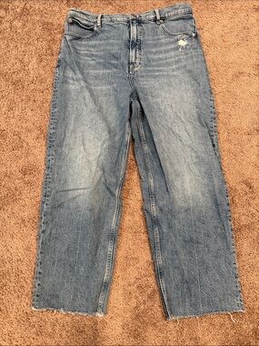 Everlane The Way-High Light Blue Cropped Straight Jeans